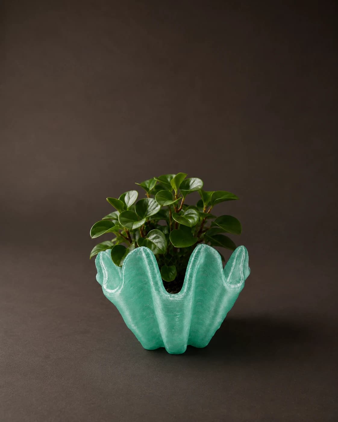 Aqua Wave Planter