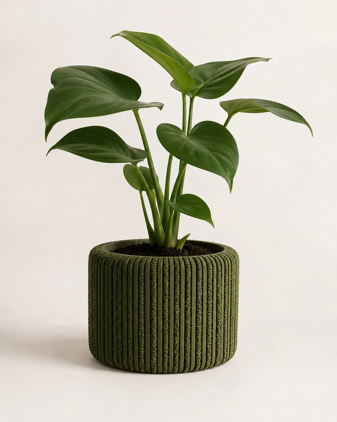 Moss line Planter, view 1 of 4